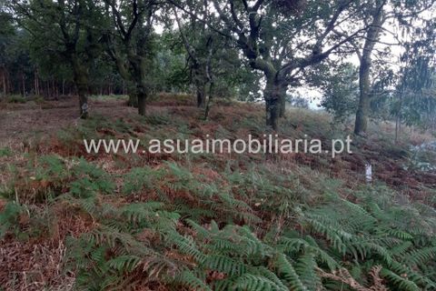 Helårsgrund i Amares, Braga, Amares - € 70.000 | Ref: 191000 - foto 20