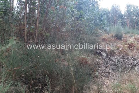 Helårsgrund i Amares, Braga, Amares - € 70.000 | Ref: 191000 - foto 21