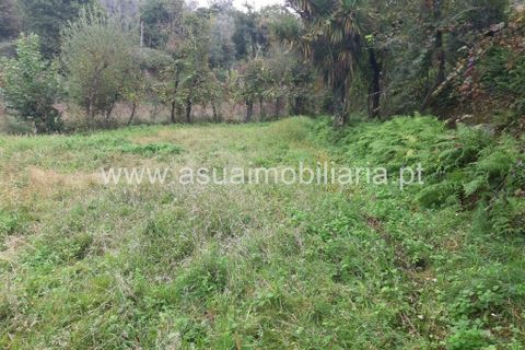 Helårsgrund i Amares, Braga, Amares - € 70.000 | Ref: 191000 - foto 22
