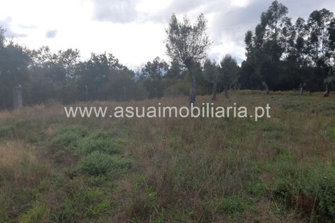 Helårsgrund i Amares, Braga, Amares - € 70.000 | Ref: 191000 - foto 26