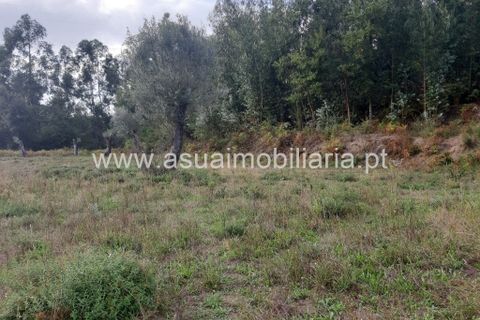 Helårsgrund i Amares, Braga, Amares - € 70.000 | Ref: 191000 - foto 27