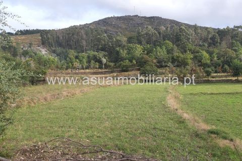 Helårsgrund i Amares, Braga, Amares - € 70.000 | Ref: 191000 - foto 28