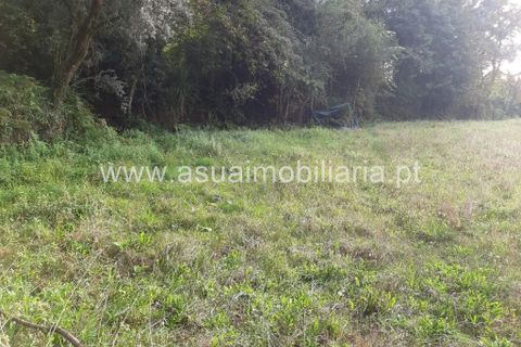 Helårsgrund i Amares, Braga, Amares - € 70.000 | Ref: 191000 - foto 29