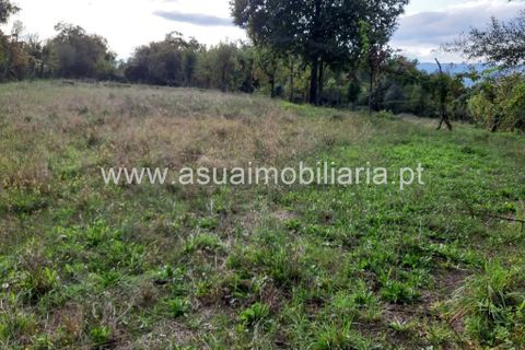 Helårsgrund i Amares, Braga, Amares - € 70.000 | Ref: 191000 - foto 31
