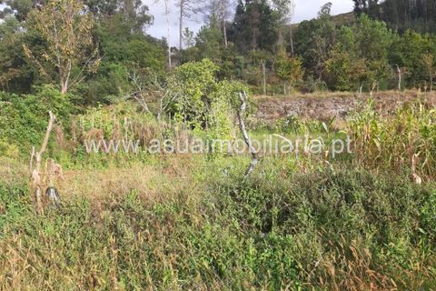 Helårsgrund i Amares, Braga, Amares - € 70.000 | Ref: 191000 - foto 34