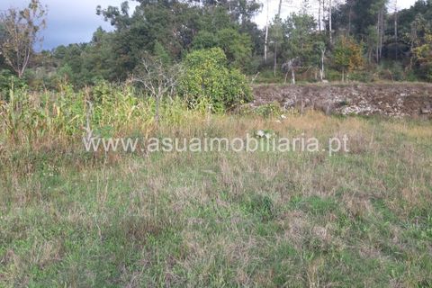 Helårsgrund i Amares, Braga, Amares - € 70.000 | Ref: 191000 - foto 36