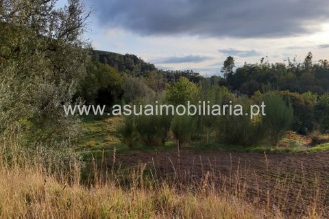 Helårsgrund i Amares, Braga, Amares - € 70.000 | Ref: 191000 - foto 38