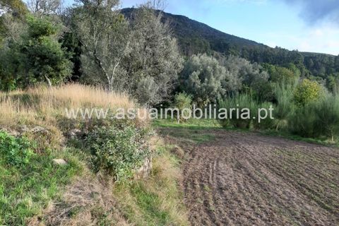 Helårsgrund i Amares, Braga, Amares - € 70.000 | Ref: 191000 - foto 39