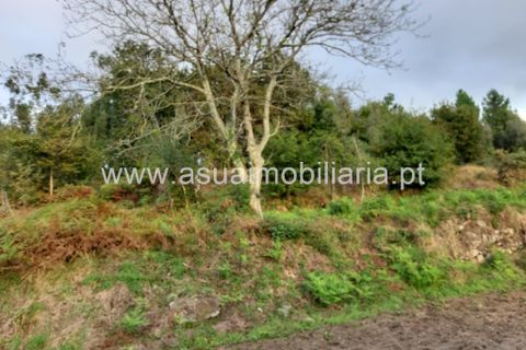Helårsgrund i Amares, Braga, Amares - € 70.000 | Ref: 191000 - foto 41