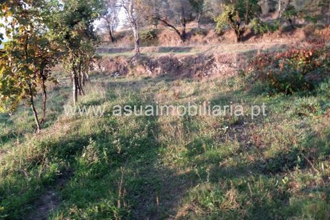 Helårsgrund i Amares, Braga, Amares - € 70.000 | Ref: 191000 - foto 42