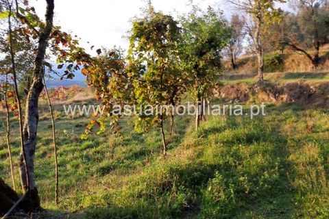 Helårsgrund i Amares, Braga, Amares - € 70.000 | Ref: 191000 - foto 43