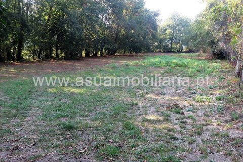 Helårsgrund i Amares, Braga, Amares - € 20.000 | Ref: 151124 - foto 3