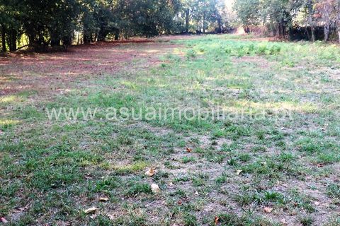 Helårsgrund i Amares, Braga, Amares - € 20.000 | Ref: 151124 - foto 4