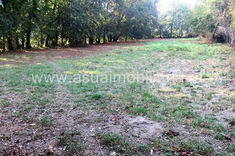Helårsgrund i Amares, Braga, Amares - € 20.000 | Ref: 151124 - foto 7