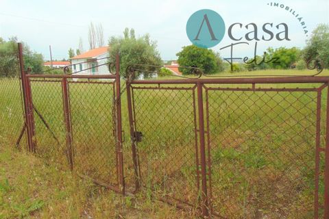 Helårsgrund i Tomar, Santarem, Tomar - € 80.000 | Ref: A512021 - foto 2