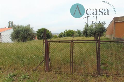 Helårsgrund i Tomar, Santarem, Tomar - € 80.000 | Ref: A512021 - foto 3