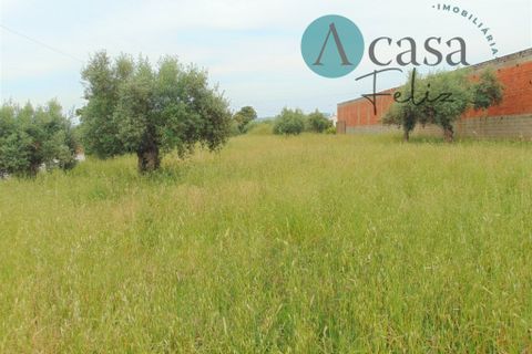 Helårsgrund i Tomar, Santarem, Tomar - € 80.000 | Ref: A512021 - foto 5