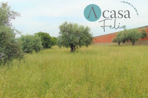 Helårsgrund i Tomar, Santarem, Tomar - € 80.000 | Ref: A512021 - foto 6