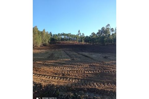Grond in Macao, Santarem, Macao - € 45.000 | Ref: TER_109 - foto 1