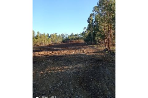 Grond in Macao, Santarem, Macao - € 45.000 | Ref: TER_109 - foto 3