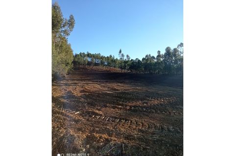 Grond in Macao, Santarem, Macao - € 45.000 | Ref: TER_109 - foto 4