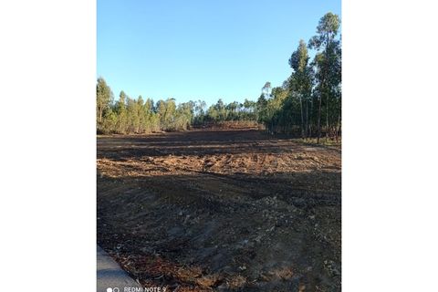 Grond in Macao, Santarem, Macao - € 45.000 | Ref: TER_109 - foto 5