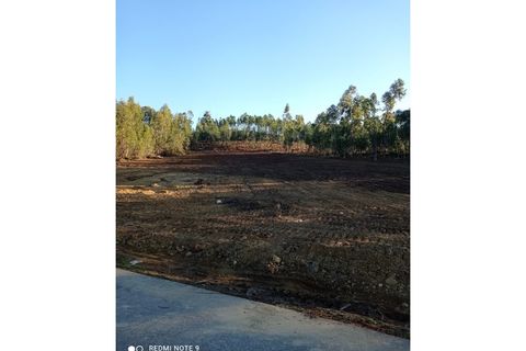 Grond in Macao, Santarem, Macao - € 45.000 | Ref: TER_109 - foto 6