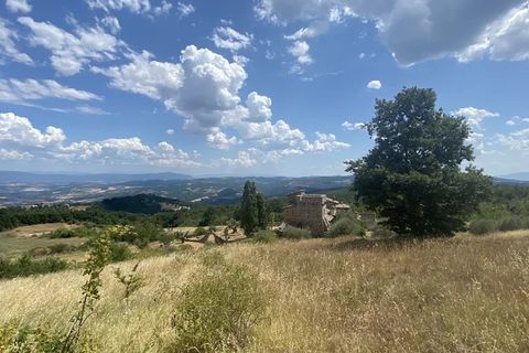Landejendom i Todi, Perugia, Todi - € 1.500.000 | Ref: TTR01CASC - foto 3