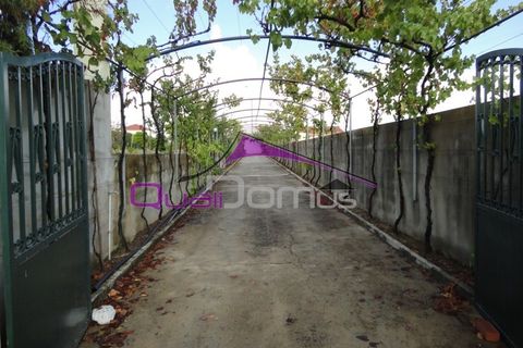 Villa a Entroncamento, Santarem, Entroncamento - € 625.000 | Ref: 2006 - foto 27