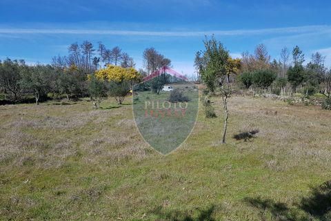 Helårsgrund i Mangualde, Viseu, Mangualde - € 45.000 | Ref: 1888/V - foto 2
