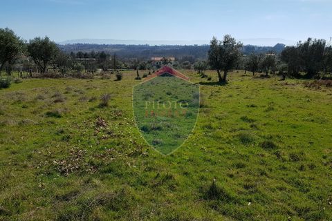 Helårsgrund i Mangualde, Viseu, Mangualde - € 45.000 | Ref: 1888/V - foto 3