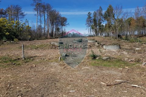 Helårsgrund i Mangualde, Viseu, Mangualde - € 45.000 | Ref: 1888/V - foto 4