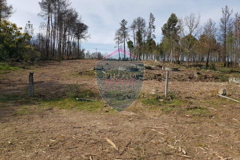 Helårsgrund i Mangualde, Viseu, Mangualde - € 45.000 | Ref: 1888/V - foto 5