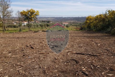 Helårsgrund i Mangualde, Viseu, Mangualde - € 45.000 | Ref: 1888/V - foto 6
