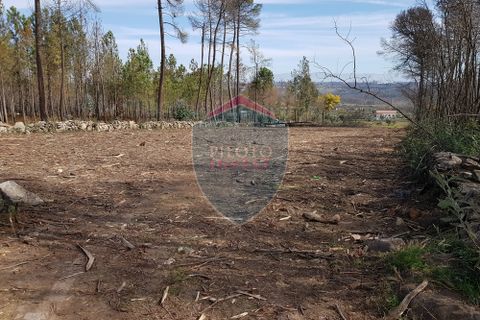 Helårsgrund i Mangualde, Viseu, Mangualde - € 45.000 | Ref: 1888/V - foto 8