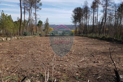 Helårsgrund i Mangualde, Viseu, Mangualde - € 45.000 | Ref: 1888/V - foto 9