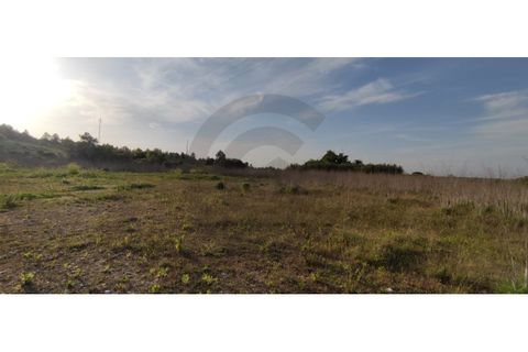 Terra a Olaia e Paco, Santarem, Olaia e Paco - € 300.000 | Ref: C0269-01128 - foto 4