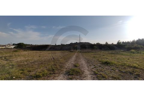 Terra a Olaia e Paco, Santarem, Olaia e Paco - € 300.000 | Ref: C0269-01128 - foto 5