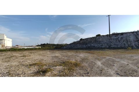 Terra a Olaia e Paco, Santarem, Olaia e Paco - € 300.000 | Ref: C0269-01128 - foto 6