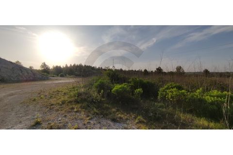 Terra a Olaia e Paco, Santarem, Olaia e Paco - € 300.000 | Ref: C0269-01128 - foto 7