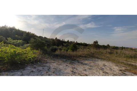 Terra a Olaia e Paco, Santarem, Olaia e Paco - € 300.000 | Ref: C0269-01128 - foto 10