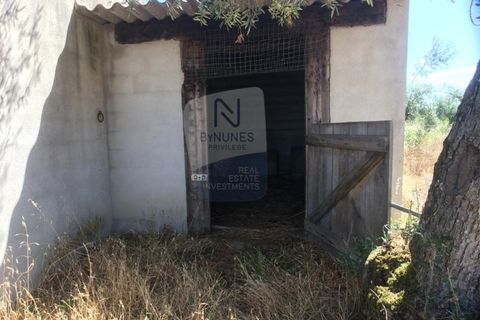 Helårsgrund i Abrantes, Santarem, Abrantes - € 280.000 | Ref: ID 01001101-50 - foto 4