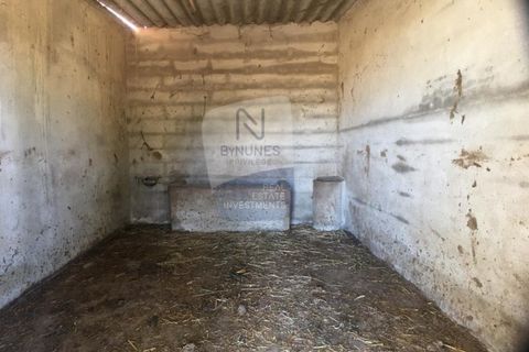 Helårsgrund i Abrantes, Santarem, Abrantes - € 280.000 | Ref: ID 01001101-50 - foto 5