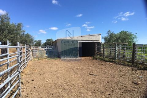 Helårsgrund i Abrantes, Santarem, Abrantes - € 280.000 | Ref: ID 01001101-50 - foto 6