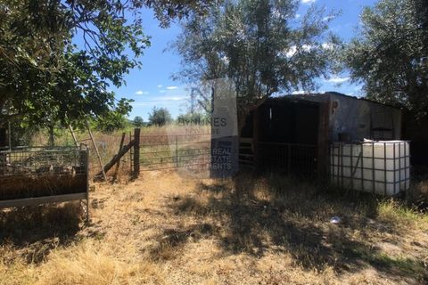 Helårsgrund i Abrantes, Santarem, Abrantes - € 280.000 | Ref: ID 01001101-50 - foto 7