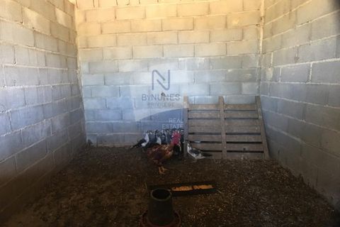 Helårsgrund i Abrantes, Santarem, Abrantes - € 280.000 | Ref: ID 01001101-50 - foto 8