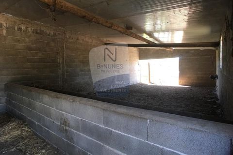 Helårsgrund i Abrantes, Santarem, Abrantes - € 280.000 | Ref: ID 01001101-50 - foto 13