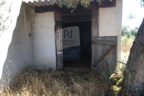 Helårsgrund i Abrantes, Santarem, Abrantes - € 280.000 | Ref: ID 01001101-50 - foto 14