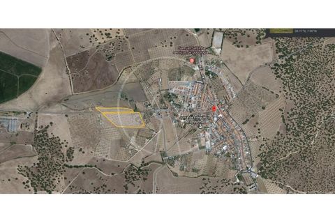 Terra a Arraiolos, Evora, Arraiolos - € 195.000 | Ref: LANE_5771 - foto 2