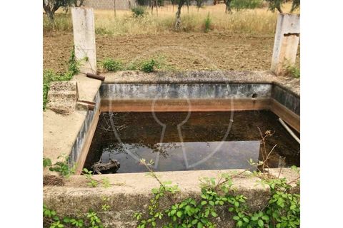 Terra a Arraiolos, Evora, Arraiolos - € 195.000 | Ref: LANE_5771 - foto 6